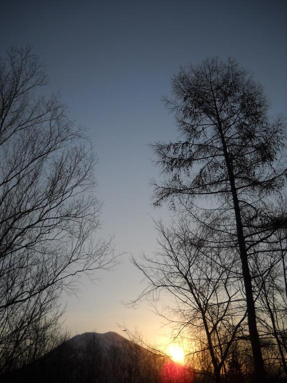 Niseko Shirokuma Cottage Exterior foto